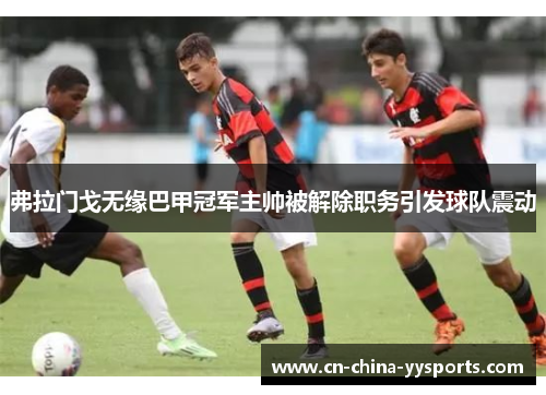 弗拉门戈无缘巴甲冠军主帅被解除职务引发球队震动 弗拉门戈无缘巴甲冠军主帅被解除职务引发球队震动