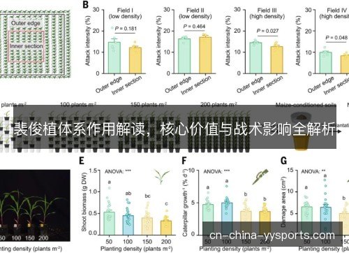 裴俊植体系作用解读，核心价值与战术影响全解析